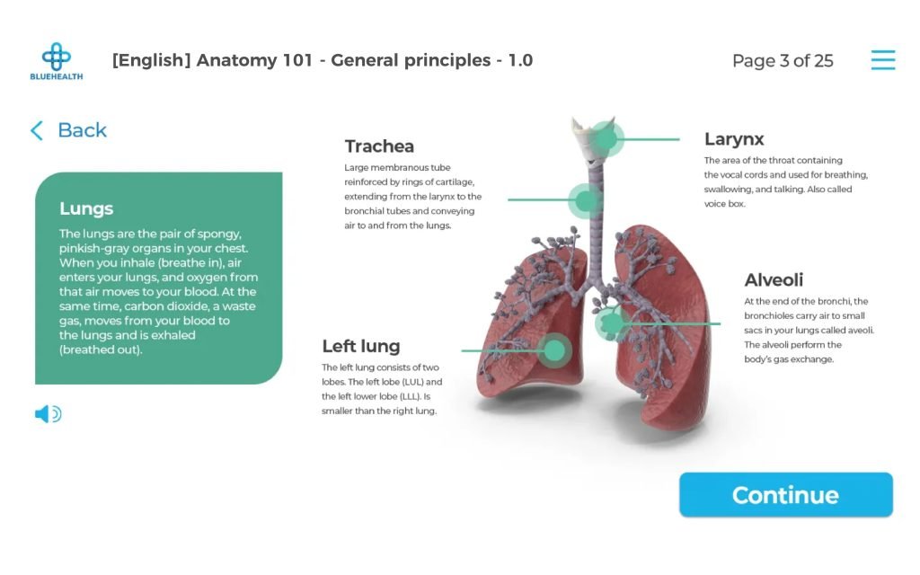 Storyline 360 for corporate learning and development – bylittle Learning Storyline 360 for corporate learning and development